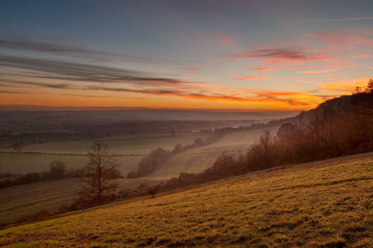 birling estate kent holly hill