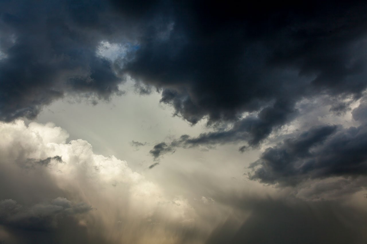 sarah medway photography projects