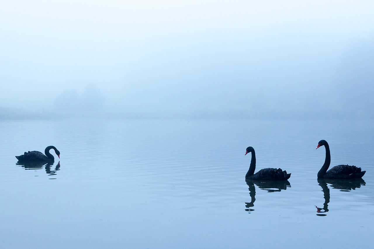 leeds castle hidden lake